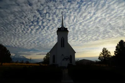 DSC_3109 (Large).JPG